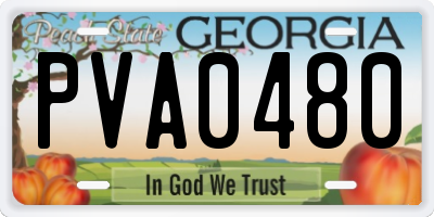 GA license plate PVA0480
