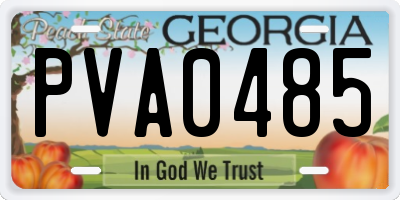 GA license plate PVA0485