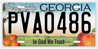 GA license plate PVA0486