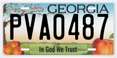 GA license plate PVA0487