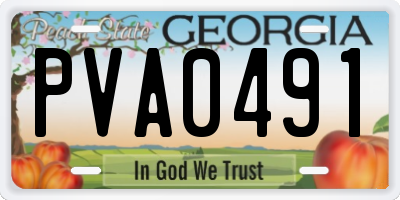 GA license plate PVA0491