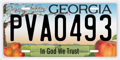 GA license plate PVA0493
