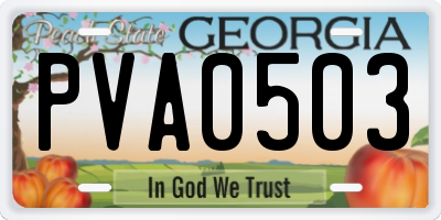 GA license plate PVA0503