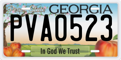 GA license plate PVA0523