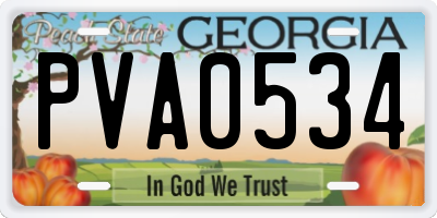 GA license plate PVA0534