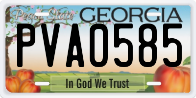 GA license plate PVA0585