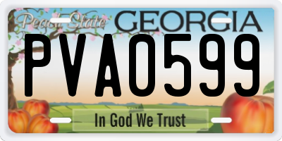 GA license plate PVA0599
