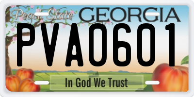 GA license plate PVA0601