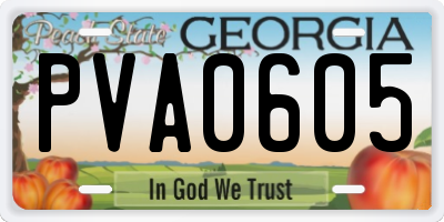 GA license plate PVA0605