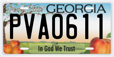 GA license plate PVA0611