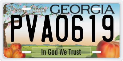 GA license plate PVA0619