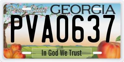 GA license plate PVA0637