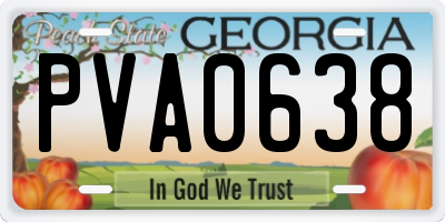 GA license plate PVA0638