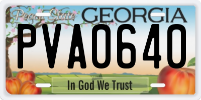 GA license plate PVA0640