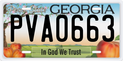 GA license plate PVA0663