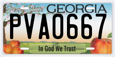 GA license plate PVA0667