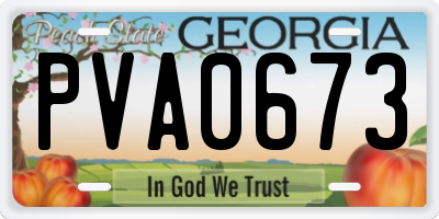 GA license plate PVA0673