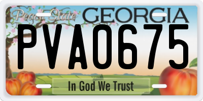 GA license plate PVA0675