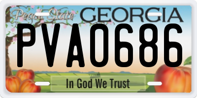 GA license plate PVA0686
