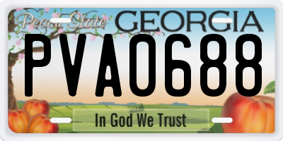 GA license plate PVA0688
