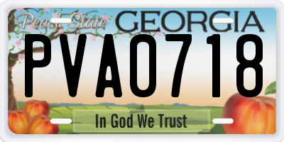 GA license plate PVA0718