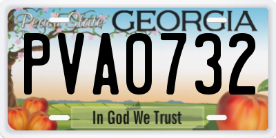 GA license plate PVA0732