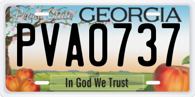GA license plate PVA0737