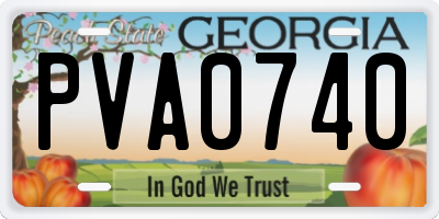 GA license plate PVA0740