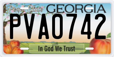 GA license plate PVA0742