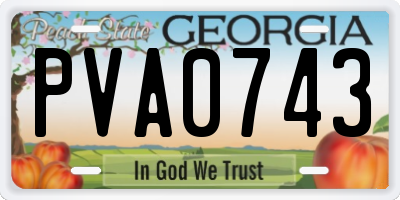 GA license plate PVA0743
