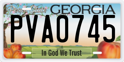 GA license plate PVA0745