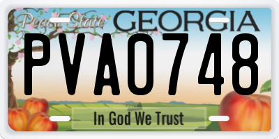 GA license plate PVA0748