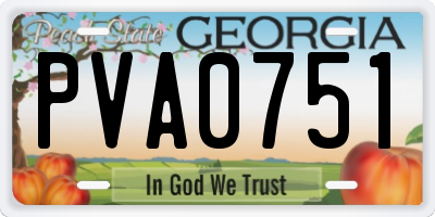 GA license plate PVA0751