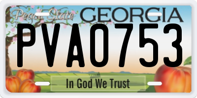 GA license plate PVA0753