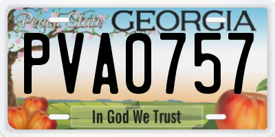 GA license plate PVA0757