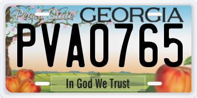 GA license plate PVA0765