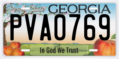 GA license plate PVA0769
