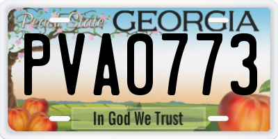 GA license plate PVA0773