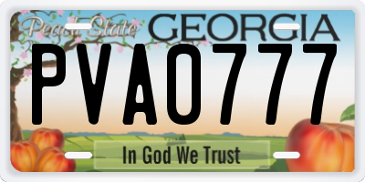 GA license plate PVA0777