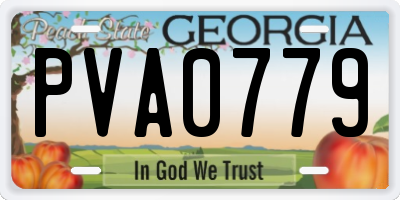 GA license plate PVA0779