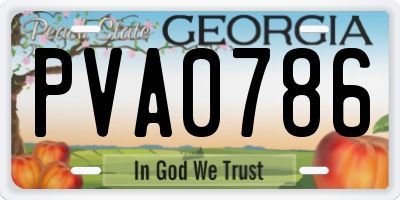 GA license plate PVA0786