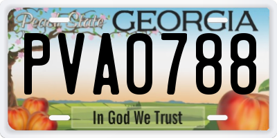 GA license plate PVA0788