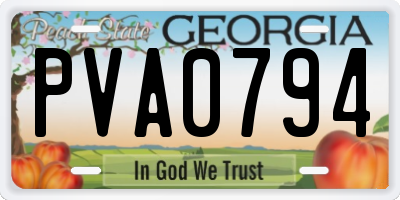 GA license plate PVA0794