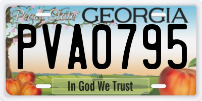 GA license plate PVA0795