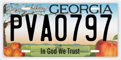 GA license plate PVA0797