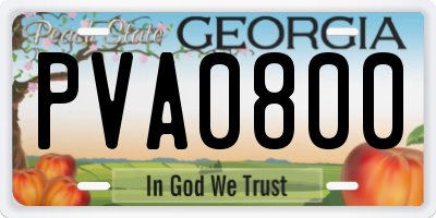 GA license plate PVA0800