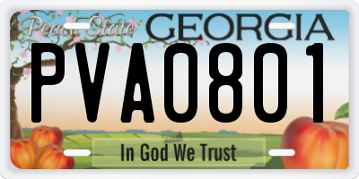 GA license plate PVA0801