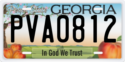 GA license plate PVA0812