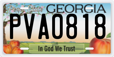 GA license plate PVA0818