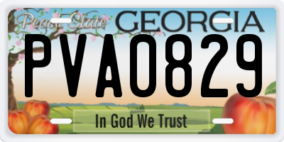 GA license plate PVA0829